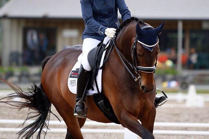 FEI Dressage Tests